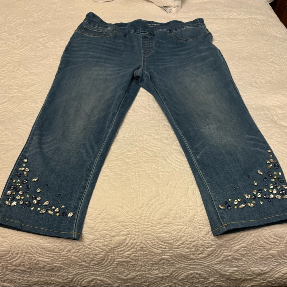 Chico’s pull on embellished ankle jeggings. Bought new, only worn twice.